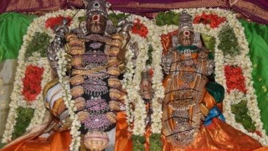 Photo of Thiruvaiyaru Sapthasthanam Chithirai Festival 2014 Video