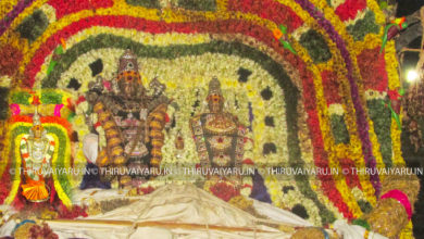 Photo of Day 10 Thiruvaiyaru Chithirai Festival 2016 (Dwajavarohanam)