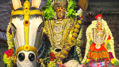 Photo of Day 8 Thiruvaiyaru Chithirai Festival 2016 (Kuthirai Vahanam)