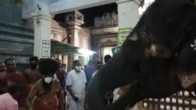Photo of Aadi First Friday Dharshan – Dharmapuram Adheenam