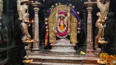 Photo of Sattanathar Temple Dharshan – Dharmapuram Adheenam