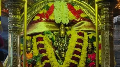 Photo of Vaitheeshwaran Temple Thirukalyanam – Dharmapuram Adheenam