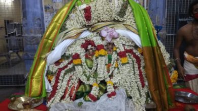 Photo of Gnanasambandhar Thirukkalyanam – Dharmapuram Adheenam