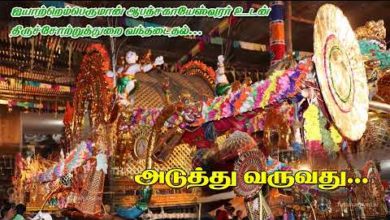 Photo of 2019 Memories – Thiruvaiyaru Chithirai Festival 2019 – Day 12 – #1