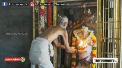 Photo of ? Thiruvaiyaru  Aadi Amavaasai Appar Abhiskeam | Thiruvaiyaru Live