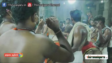 Photo of ? Thiruvaiyaru  Aadi Amavaasai Appar Kailai Kaatchi 2021 | Thiruvaiyaru Live