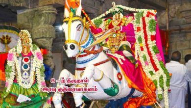 Photo of 2019 Memories – Thiruvaiyaru Chithirai Festival 2019 – Day 8