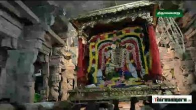 Photo of Thiruvaiyaru Sri Aiyarappar Temple Theerthawari & Natarajar Bommai Poopodum Vizha | திருவையாறு