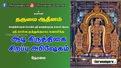 Photo of ? Vaitheeswaran Koil Sri Selvamuthukumarasamy Abhishekam | 02-08-2021 | Thiruvaiyaru Live