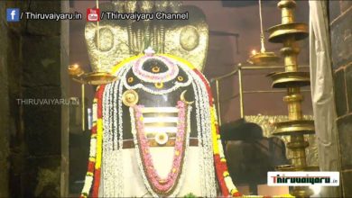 Photo of Thanjavur Sri Peruvudaiyar Temple Maha Sivarathri 2021 #2 | Thiruvaiyaru