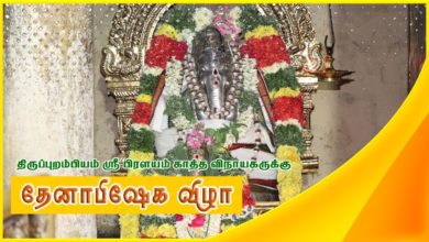 Photo of Thiruppurambiyam Sri Satchinathar Temple Thenabishekam | Vinayagar Chathurthi | திருப்புறம்பியம்
