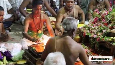 Photo of 2019 Memories – Thiruvaiyaru Chithirai Festival 2019 – Day 5