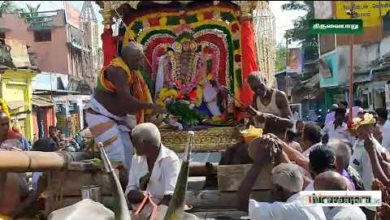 Photo of Thiruvaiyaru Sri Aiyarappar Temple Theerthawari & Natarajar Bommai Poopodum Vizha | திருவையாறு