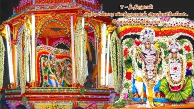 Photo of 2019 Memories – Thiruvaiyaru Chithirai Festival 2019 – Day 7