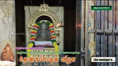 Photo of Thiruppurambiyam Sri Satchinatha Swamy Temple | Pralayam Katha Vinayagar | Thenabishekam 22-08-2020