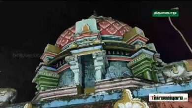 Photo of Thiruppurambiyam Sri Satchinathar Temple – Maha Sivarathiri 2020 | திருப்புறம்பியம்