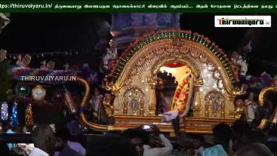 Photo of 2019 Memories – Thiruvaiyaru Chithirai Festival 2019 – Day 12 – #1