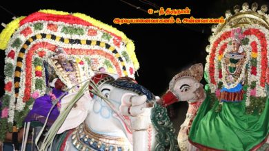 Photo of 2019 Memories – Thiruvaiyaru Chithirai Festival 2019 – Day 6