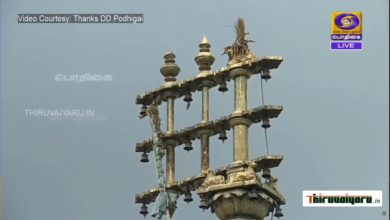 Photo of Thiruvannamalai Sri Arunachaleswarar Temple Karthikai Deepam Festival |  Thiruvaiyaru