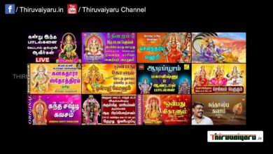 Photo of ? Tiruvarur Sri Thiyagara Swamy Temple Thirukalyanam | Thiruvaiyaru Live