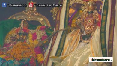 Photo of ? Thillaisthanam Sri Srinivasa Perumal Thirukalyanam | Thiruvaiyaru Live