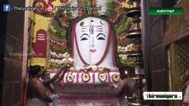 Photo of Thanjavur Brihadeeswarar Temple Annabishekam | தஞ்சை பெரிய கோவில் அன்னாபிஷேகம் | Thiruvaiyaru