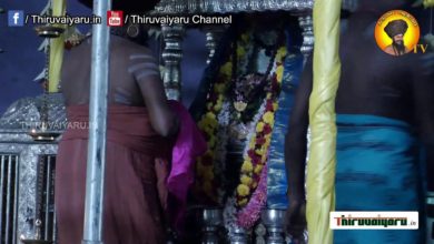 Photo of ? Sokkanathar Siva Pooja @ Sri Ravishankar Guruji Ashram – Dharumai Adheenam – Recap | Thiruvaiyaru