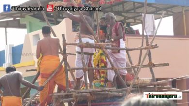 Photo of ? Thirukkattupalli Sri Ayyanar Temple Kumbabishekam | Thiruvaiyarun