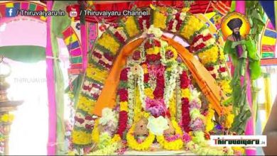 Photo of ? ThiruKadaiyur Sri Abirami Sametha Amirthakadeswarar Maha Kumbabishegam – Kaalam 4| Thiruvaiyaru