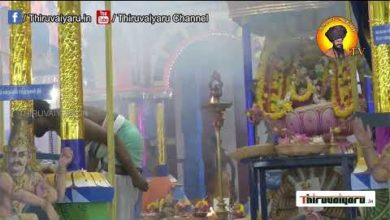 Photo of ? ThiruKadaiyur Sri Abirami Sametha Amirthakadeswarar Maha Kumbabishegam – Kaalam 2| Thiruvaiyaru