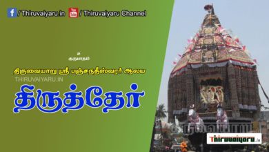 Photo of ? Thiruvaiyaru Thiruther 9th Day Festival| Thiruvaiyaru #thiruvaiyaru