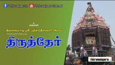 Photo of ? Thiruvaiyaru Thiruther 9th Day Festival| Thiruvaiyaru #thiruvaiyaru