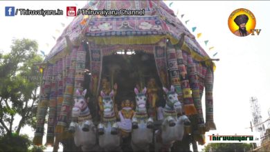 Photo of ? Thirunallar Sri Dharbaranyeswarar Temple – Brahmotsavam 15th Day | Thiruvaiyaru #thiruvaiyaruyaru