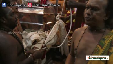 Photo of Thirunallar Dharbaarenyeswarar Temple Brahmotsavam 2022 – 9th Day | Thiruvaiyaru #thirunallar