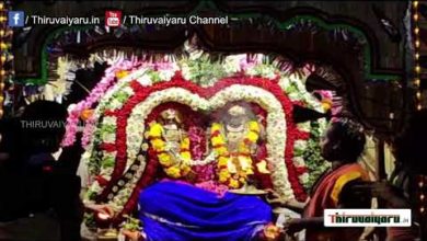 Photo of ? Thirunallar Sri Dharbaranyeswarar Temple – Brahmotsavam 17th Day | Thiruvaiyaru #thiruvaiyaru