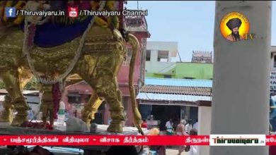 Photo of ? Thirunallar Sri Dharbaranyeswarar Temple – Brahmotsavam 18th Day | Thiruvaiyaru #thiruvaiyaru