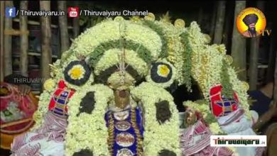 Photo of ? Thirunallar Sri Dharbaranyeswarar Temple – Brahmotsavam 13th Day | Thiruvaiyaru #thiruvaiyaruyaru
