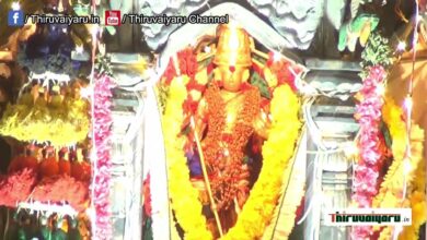 Photo of Thiruchendur Sri Subramaniya Swamy Temple Aavani Thiruvizha Kodi Ettram | Thiruvaiyaru #thiruvaiyaru