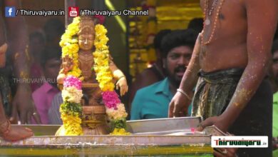 Photo of 🔴 Live – Mayiladuthurai Shri Ayyappa Seva Sangam Mandala Poojai | Thiruvaiyaru