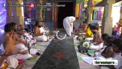 Photo of 🔴 Live – Veppathur Sri Radha Kalyanam | Thiruvaiyaru