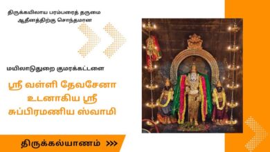 Photo of 🔴 Live – Mayiladuthurai Kumarakattalai Sri Subramanya Swamy Thirukalyanam| Thiruvaiyaru