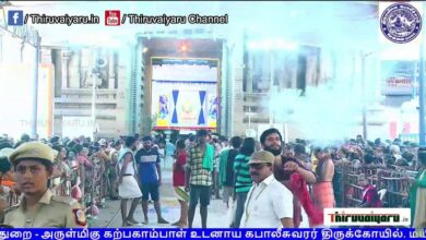 Photo of 🔴 Live – Mylapore Sri Kapaleeswarar Temple Panguni Uthira Vizha | 63 Nayanmar Katchi | Thiruvaiyaru