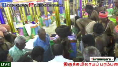 Photo of 🔴 Live Sirkazhi Sri Sattainathar Temple Maha Kumbabhishega Peruvizha  | Thiruvaiyaru