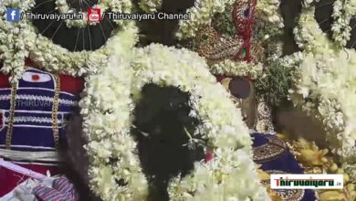 Photo of 🔴 Live Thirunallar Brahmotsavam | திருநள்ளாறு பிரமோற்ஸவம்  | Thiruvaiyaru