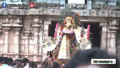 Photo of Thiruvaiyaru Chithirai Festival 2023 Day 12 – Part-4
