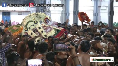Photo of 🔴 Live Thirunallar Brahmotsavam | திருநள்ளாறு பிரமோற்ஸவம் – யதாஸ்தானம்  எழுந்தருளல் | Thiruvaiyaru