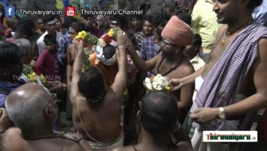 Photo of Thiruvaiyaru Chithirai Festival 2023 Day  8 |Kuthirai vaganam