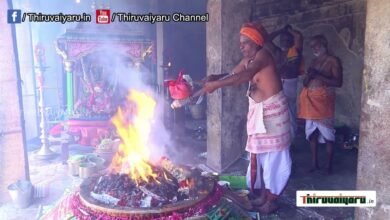 Photo of Thanjavur Peruvudaiyar Alaya Ashaada Navarathri Vizha – Day 10 | Thiruvaiyaru | 2023