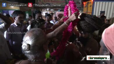 Photo of Dharumai Adheenam Guru Linga Sangama Pathayaathirai towards Thiruppanandhal | Thiruvaiyaru