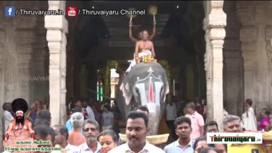 Photo of 🔴 Live – Thiruvannamalai Sri Annamalaiyar Temple Pradhosha Vizha | Thiruvaiyaru